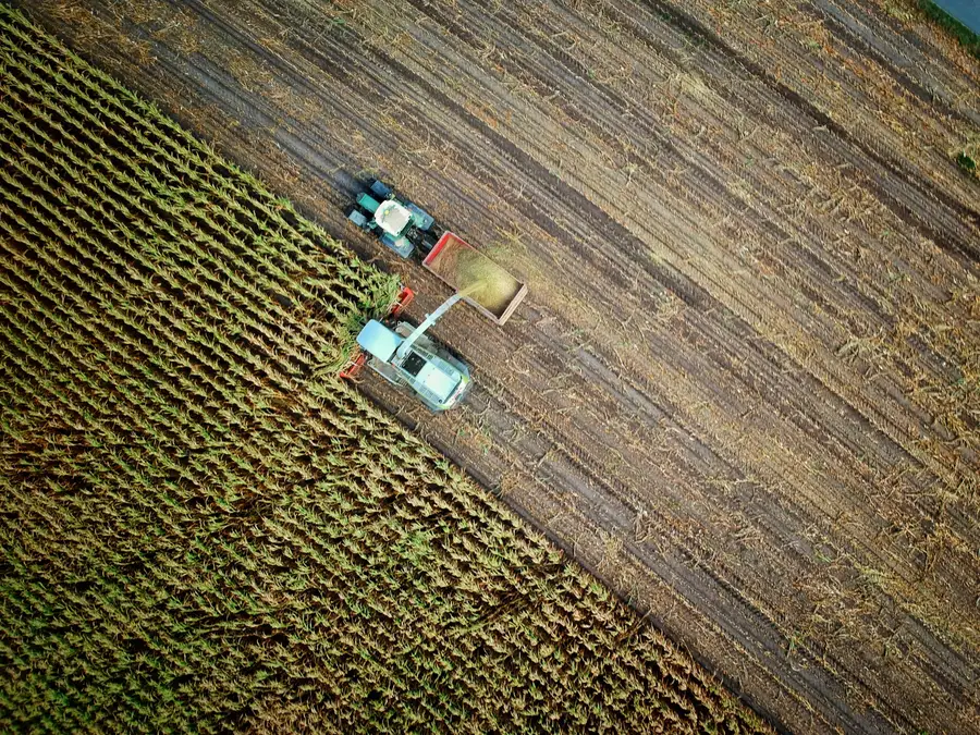 Cosecha mecanizada vista desde el aire